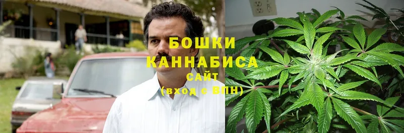 сколько стоит  Грязи  Шишки марихуана OG Kush 